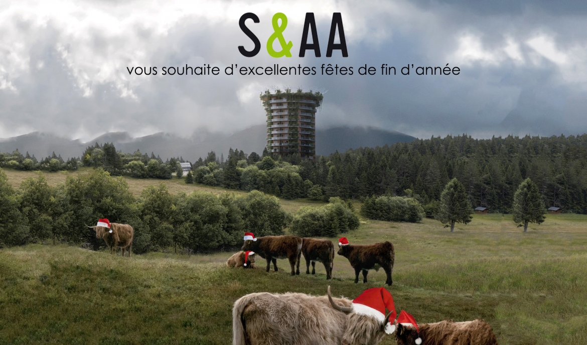 S&AA vous souhaite de bonnes fêtes de fin d'année